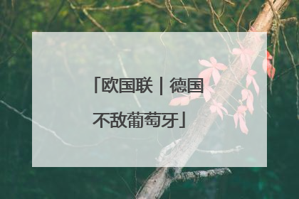 欧国联｜德国不敌葡萄牙