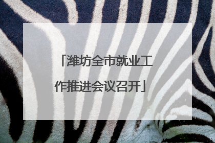 潍坊全市就业工作推进会议召开