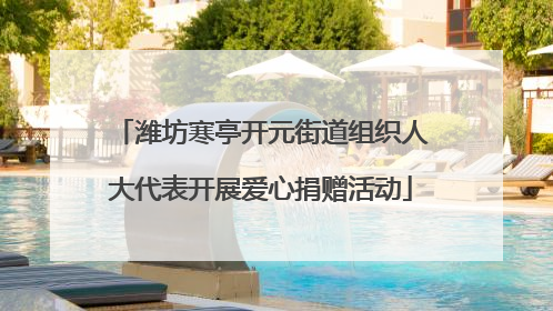 潍坊寒亭开元街道组织人大代表开展爱心捐赠活动