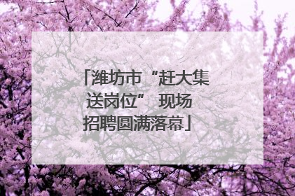 潍坊市“赶大集 送岗位” 现场招聘圆满落幕