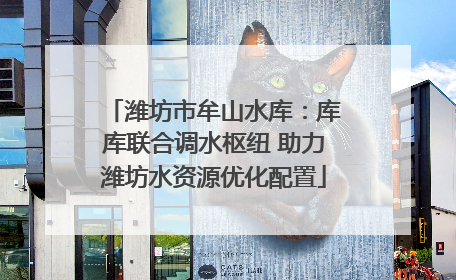潍坊市牟山水库：库库联合调水枢纽 助力潍坊水资源优化配置