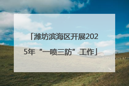 潍坊滨海区开展2025年“一喷三防”工作