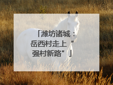 潍坊诸城：岳西村走上“强村新路”