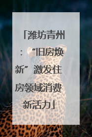 潍坊青州：“旧房焕新”激发住房领域消费新活力