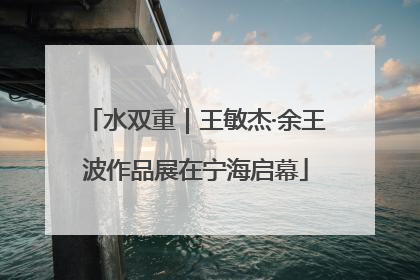 水双重｜王敏杰·余王波作品展在宁海启幕