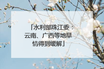 水利部珠江委：云南、广西等地旱情得到缓解