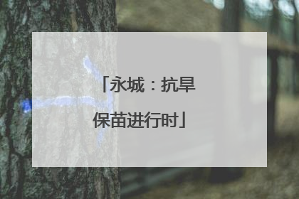 永城：抗旱保苗进行时