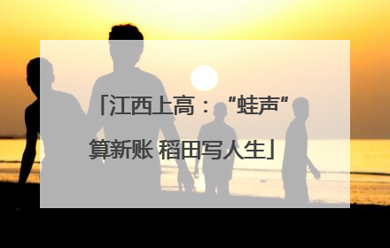 江西上高：“蛙声”算新账 稻田写人生