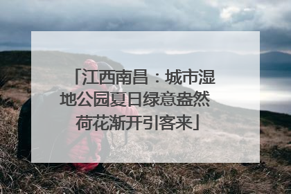 江西南昌：城市湿地公园夏日绿意盎然 荷花渐开引客来