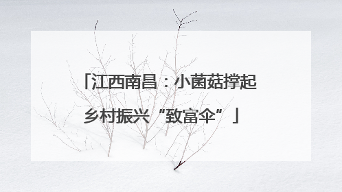 江西南昌：小菌菇撑起乡村振兴“致富伞”
