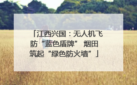江西兴国：无人机飞防“蓝色盾牌” 烟田筑起“绿色防火墙”