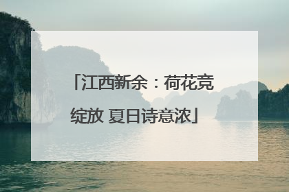 江西新余：荷花竞绽放 夏日诗意浓