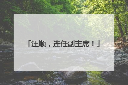 汪顺，连任副主席！