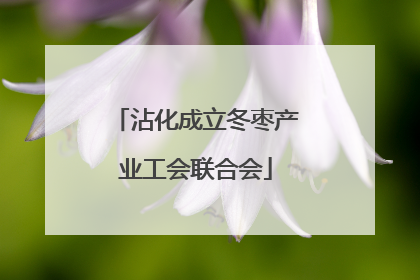 沾化成立冬枣产业工会联合会