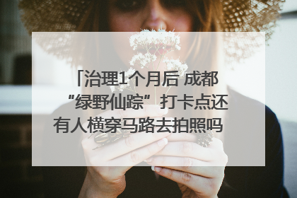 治理1个月后 成都“绿野仙踪”打卡点还有人横穿马路去拍照吗？｜民情瞭望