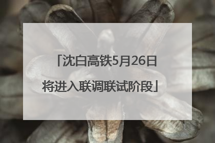 沈白高铁5月26日将进入联调联试阶段