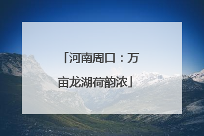 河南周口：万亩龙湖荷韵浓