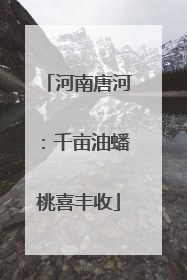 河南唐河：千亩油蟠桃喜丰收