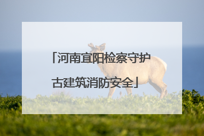 河南宜阳检察守护古建筑消防安全