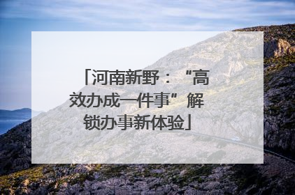 河南新野：“高效办成一件事”解锁办事新体验