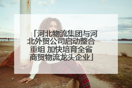 河北物流集团与河北外贸公司启动整合重组 加快培育全省商贸物流龙头企业