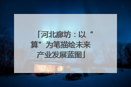 河北廊坊：以“算”为笔描绘未来产业发展蓝图