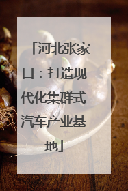 河北张家口：打造现代化集群式汽车产业基地