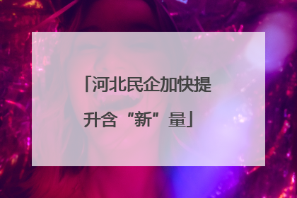河北民企加快提升含“新”量