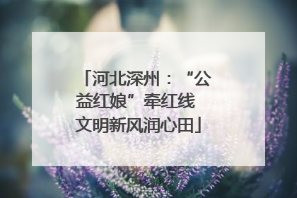 河北深州：“公益红娘”牵红线 文明新风润心田