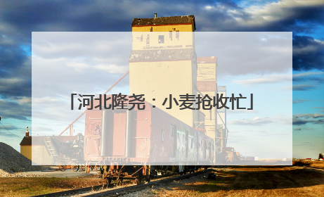 河北隆尧：小麦抢收忙