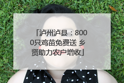 泸州泸县：8000只鸡苗免费送 乡贤助力农户增收