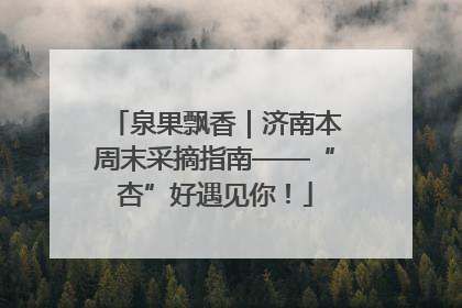 泉果飘香｜济南本周末采摘指南——“杏”好遇见你！