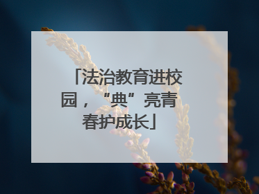 法治教育进校园，“典”亮青春护成长
