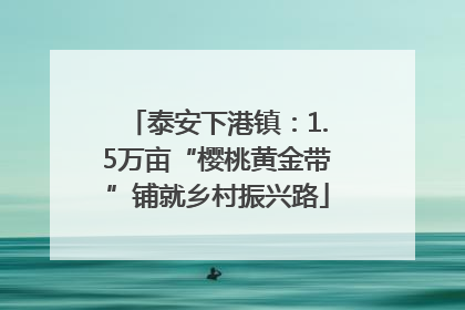 泰安下港镇：1.5万亩“樱桃黄金带”铺就乡村振兴路