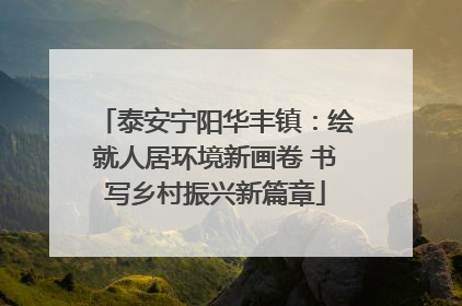 泰安宁阳华丰镇：绘就人居环境新画卷 书写乡村振兴新篇章