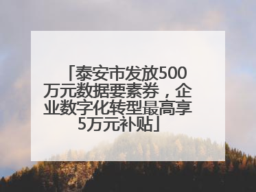 泰安市发放500万元数据要素券，企业数字化转型最高享5万元补贴