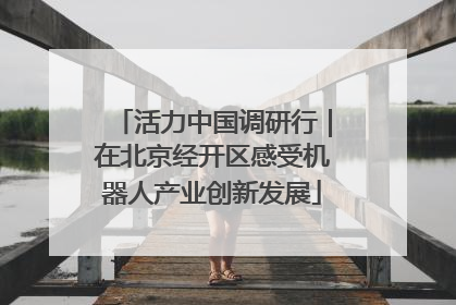 活力中国调研行｜在北京经开区感受机器人产业创新发展