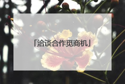 洽谈合作觅商机