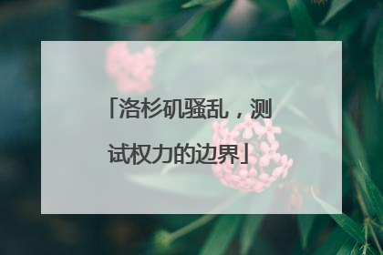 洛杉矶骚乱，测试权力的边界