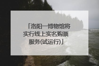 洛阳一博物馆将实行线上实名购票服务(试运行)