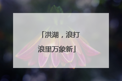洪湖，浪打浪里万象新
