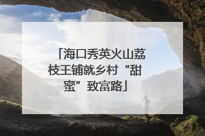 海口秀英火山荔枝王铺就乡村“甜蜜”致富路
