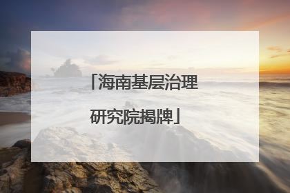 海南基层治理研究院揭牌
