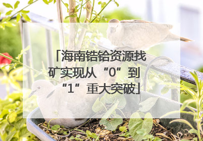 海南锆铪资源找矿实现从“0”到“1”重大突破