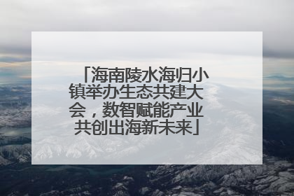 海南陵水海归小镇举办生态共建大会，数智赋能产业共创出海新未来