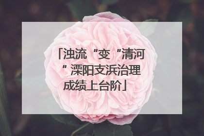浊流“变“清河“ 溧阳支浜治理成绩上台阶