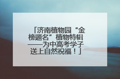 济南植物园“金榜题名”植物特辑——为中高考学子送上自然祝福！