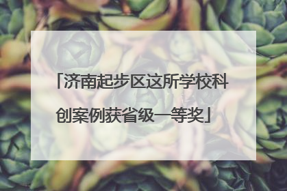 济南起步区这所学校科创案例获省级一等奖