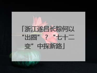 浙江遂昌长粽何以“出圈”？“七十二变”中探新路