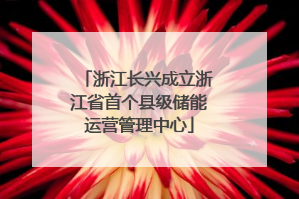 浙江长兴成立浙江省首个县级储能运营管理中心